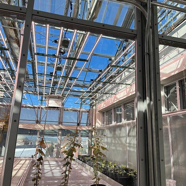 SU - Horticulture Lighting