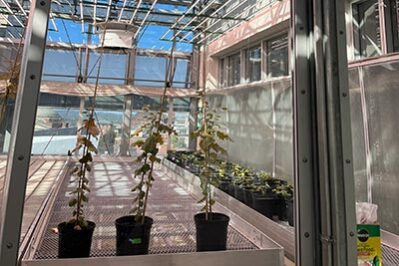 SU – Horticulture Lighting SU - Horticulture Lighting