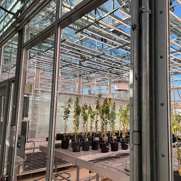 SU - Horticulture Lighting