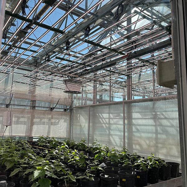 SU - Horticulture Lighting