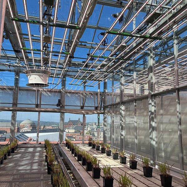 SU - Horticulture Lighting