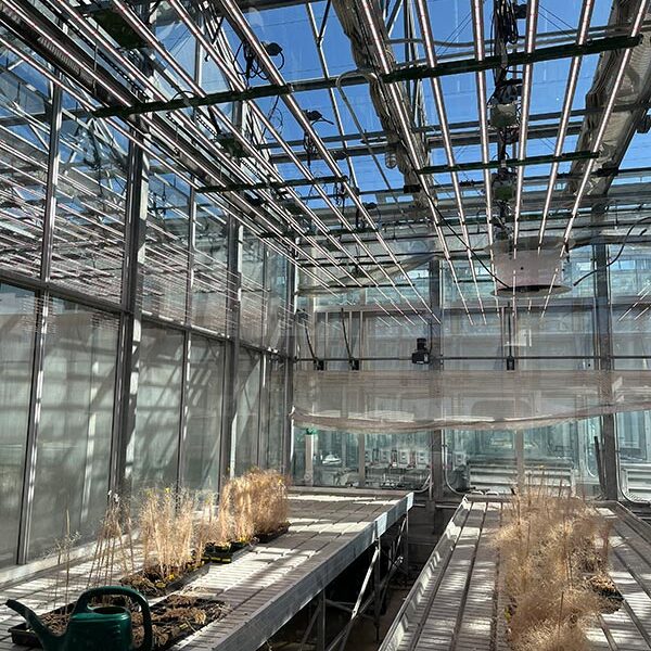 SU - Horticulture Lighting